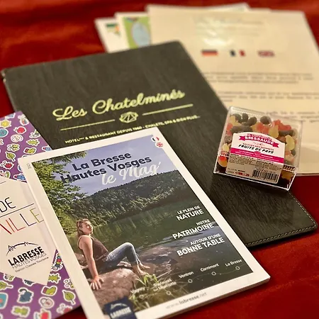 Logis Hotel, Et Restaurant Les Chatelmines Ла-Бресс