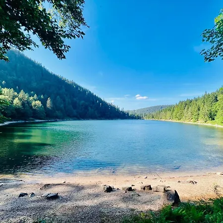 Les Chatelminés La Bresse