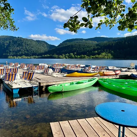 Logis Hotel, Et Restaurant Les Chatelmines La Bresse