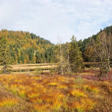 Logis Les Chatelmines Szálloda La Bresse