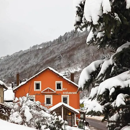 Logis Les Chatelmines 3* La Bresse