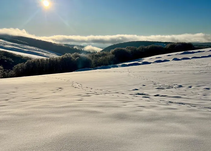 Logis Hotel, Et Restaurant Les Chatelmines