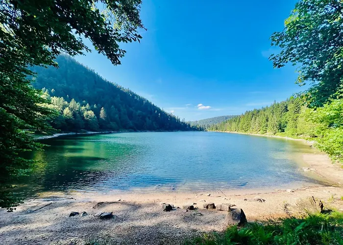 Logis Hotel, Et Restaurant Les Chatelmines La Bresse
