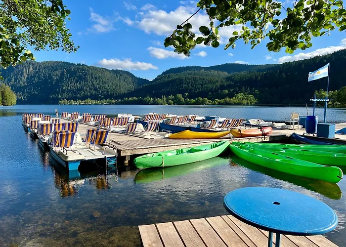 Logis Hotel, Et Restaurant Les Chatelmines La Bresse