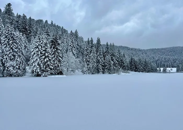 Logis Hotel, Et Restaurant Les Chatelmines Szálloda 3*