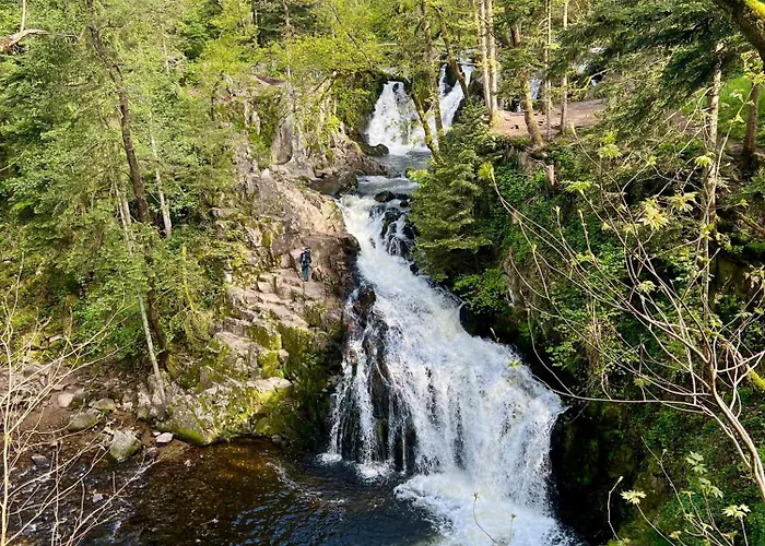 Szálloda Logis Hotel, Et Restaurant Les Chatelmines La Bresse