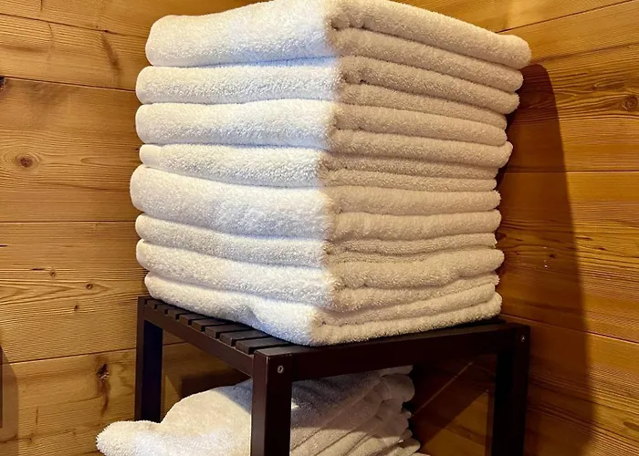 Logis Hotel, Et Restaurant Les Chatelmines Hotel La Bresse