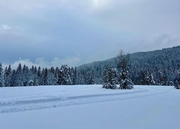 Hotel Logis Hotel, Et Restaurant Les Chatelmines