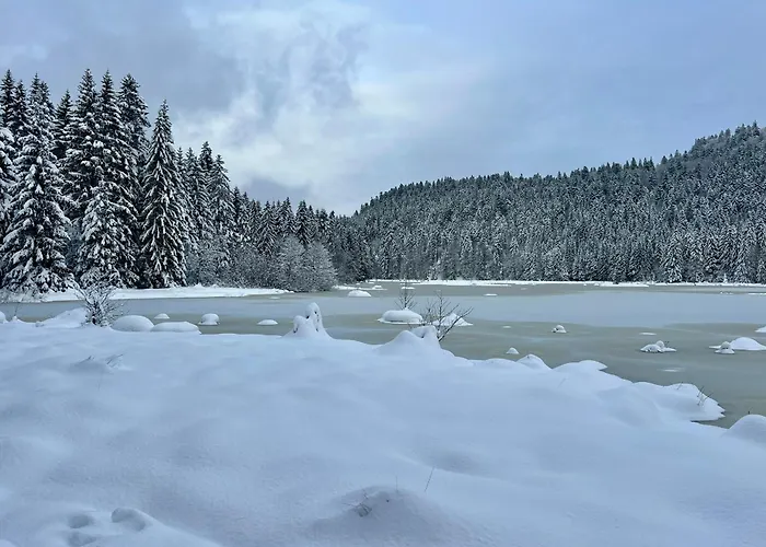 Szálloda Logis Hotel, Et Restaurant Les Chatelmines La Bresse