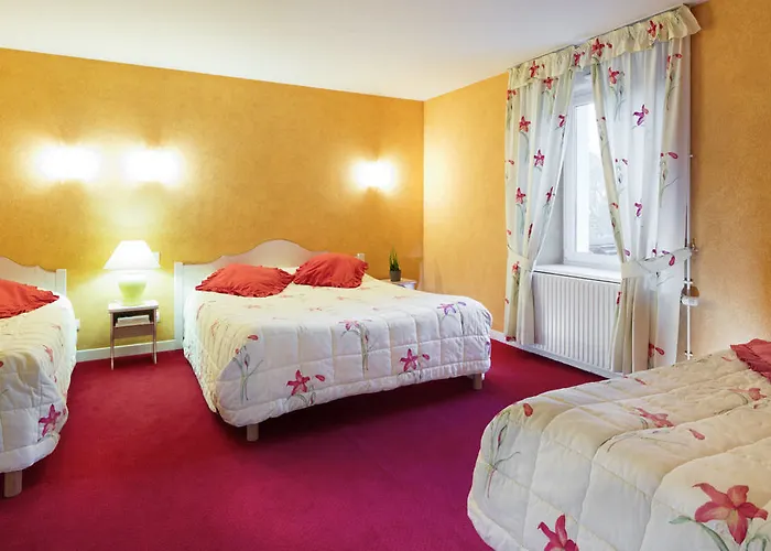 Logis Hotel, Et Restaurant Les Chatelmines 3* La Bresse