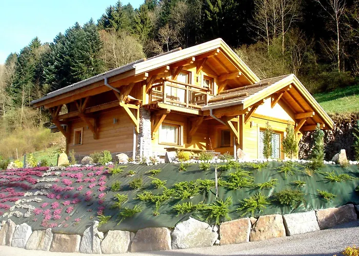 Logis Hotel, Et Restaurant Les Chatelmines 3* La Bresse